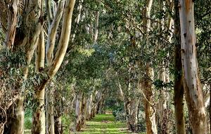 Santa Sylvina Estancia | Unforgettable Argentinian Estate | 250+ Acres | Beach and Golf Club Access! - Chapadmadal, Mar de Plata, Argentina