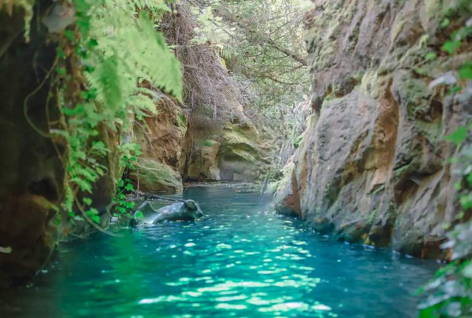 Sonoma Wine Country Estate - as seen on Emmy Award winning show Staycation! - Sebastopol, California