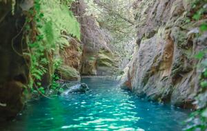 Sonoma Wine Country Estate - as seen on Emmy Award winning show Staycation! - Sebastopol, California