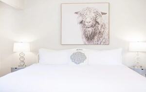 Sonoma Wine Country Estate - as seen on Emmy Award winning show Staycation! - Sebastopol, California