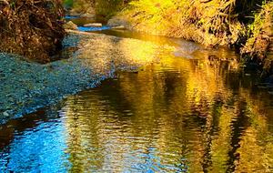 Sonoma Wine Country Estate - as seen on Emmy Award winning show Staycation! - Sebastopol, California