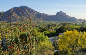 WM Phoenix Open Dates Available Feb 2-9, 2026! Award Winning Hillside Retreat - Paradise Valley, Arizona