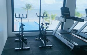 gym above front desk and lap pool
