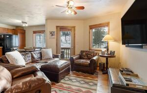 Living room/ kitchen area with small patio and BBQ