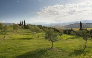The Hideaways Club - Podere Le Sensaie - La Sterza, Italy
