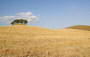 The Hideaways Club - Podere Le Sensaie - La Sterza, Italy
