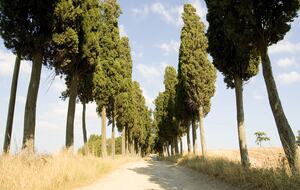 The Hideaways Club - Podere Le Sensaie - La Sterza, Italy