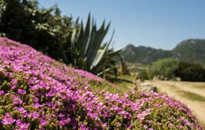 The Hideaways Club - Casa Cielo - Golfo Aranci, Italy