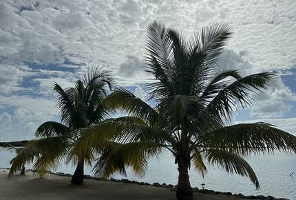 Turtle Island Resort and Residences - San Pedro, Belize