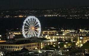 Night View Ferris Wheel from front deck