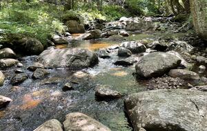 Larkin Point - Tupper Lake, New York