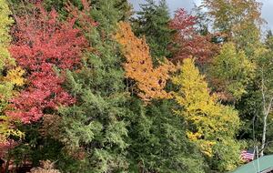 Larkin Point - Tupper Lake, New York