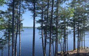 Panoramic Lake Views