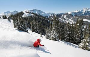 5 Bedroom in the Town of Telluride - Telluride, Colorado