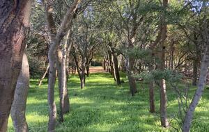 Manor House Fijndraai Estate - Stellenbosch, South Africa