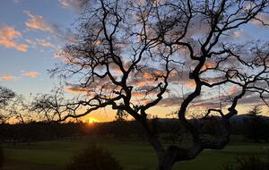 Silverado Sunset - Napa, California