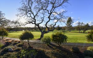 Silverado Sunset - Napa, California