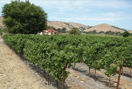 Villa Verotto - Sonoma, California
