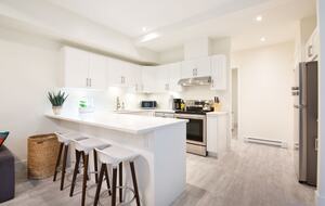 Basement Suite Kitchen