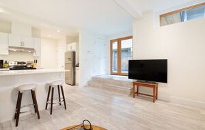 Basement Suite Living Area