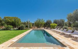 Stella del monte - Cisternino, Italy