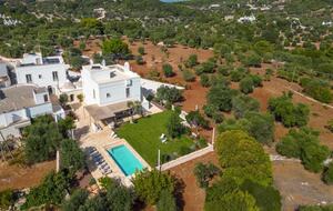 Stella del monte - Cisternino, Italy