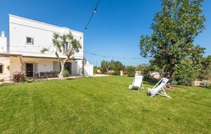 Stella del monte - Cisternino, Italy