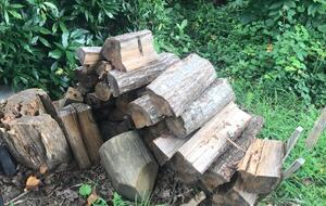 Waterfront Old Bay Cottage in Deltaville - Deltaville, Virginia