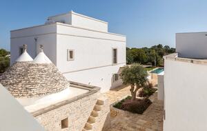 Stella del monte - Cisternino, Italy