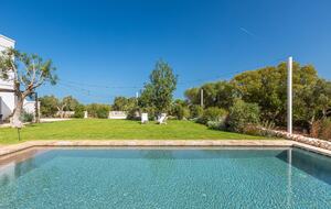 Stella del monte - Cisternino, Italy