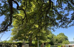 Chartreuse de la Poujade - Urval, France
