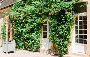 Chartreuse de la Poujade - Urval, France