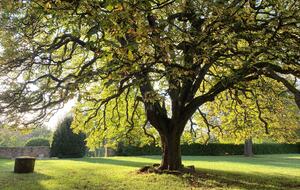 Chartreuse de la Poujade - Urval, France
