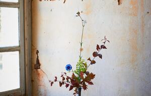 Chartreuse de la Poujade - Urval, France