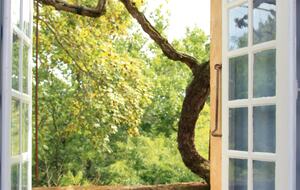 Chartreuse de la Poujade - Urval, France