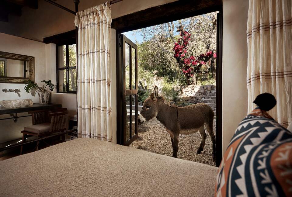 San Miguel Holistic Sanctuary - San Miguel de Allende, Mexico