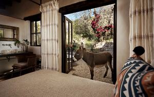 San Miguel Holistic Sanctuary - San Miguel de Allende, Mexico