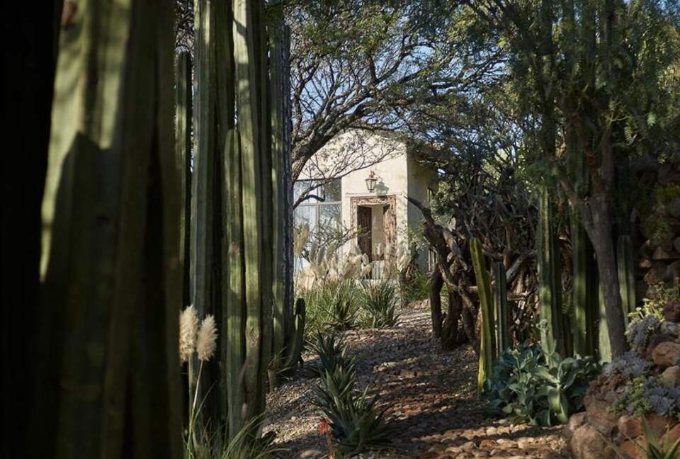 San Miguel Holistic Sanctuary - San Miguel de Allende, Mexico