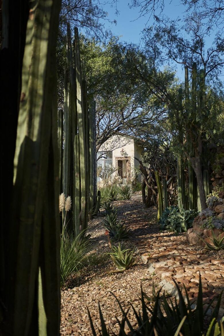 San Miguel Holistic Sanctuary - San Miguel de Allende, Mexico