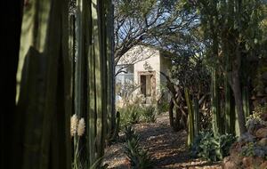 San Miguel Holistic Sanctuary - San Miguel de Allende, Mexico