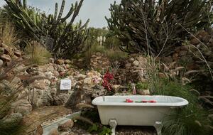 San Miguel Holistic Sanctuary - San Miguel de Allende, Mexico