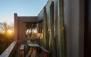 San Miguel Holistic Sanctuary - San Miguel de Allende, Mexico