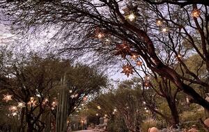 San Miguel Holistic Sanctuary - San Miguel de Allende, Mexico
