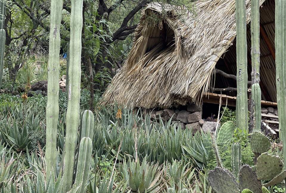 San Miguel Holistic Sanctuary - San Miguel de Allende, Mexico