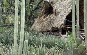 San Miguel Holistic Sanctuary - San Miguel de Allende, Mexico