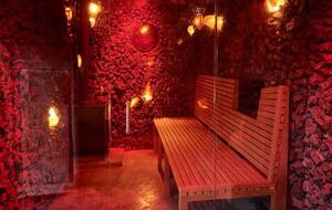 San Miguel Holistic Sanctuary - San Miguel de Allende, Mexico