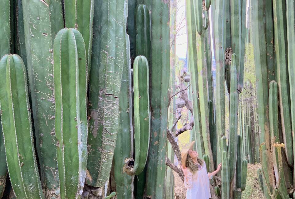 San Miguel Holistic Sanctuary - San Miguel de Allende, Mexico
