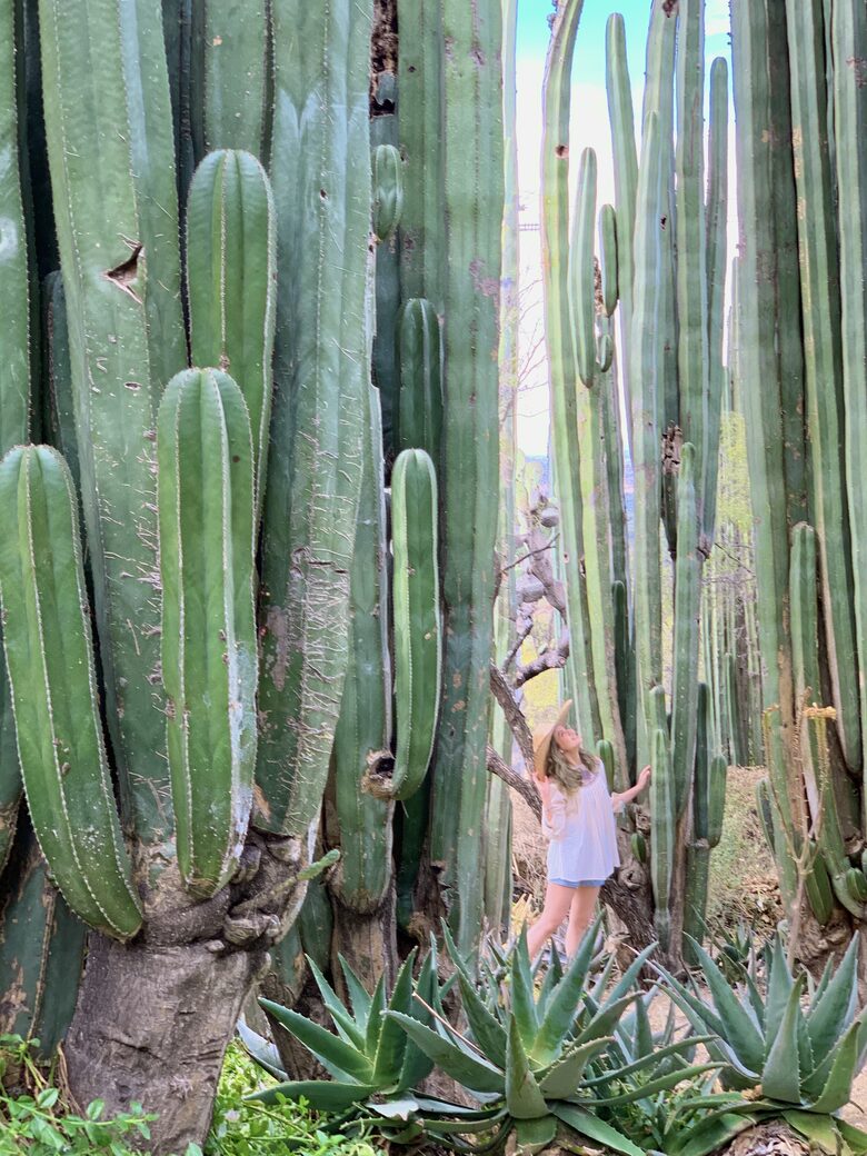 San Miguel Holistic Sanctuary - San Miguel de Allende, Mexico