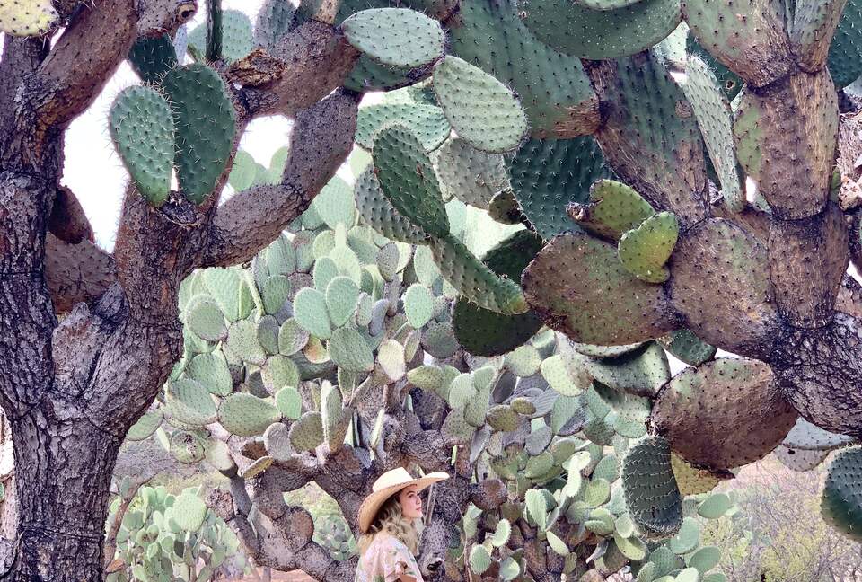 San Miguel Holistic Sanctuary - San Miguel de Allende, Mexico