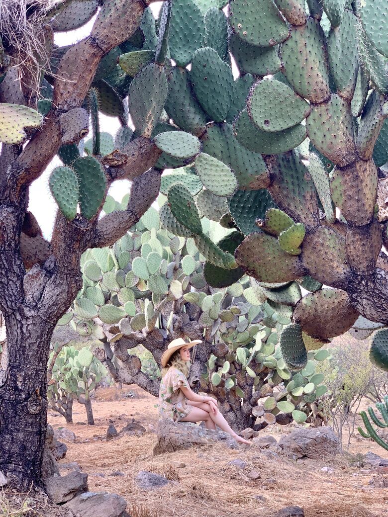 San Miguel Holistic Sanctuary - San Miguel de Allende, Mexico